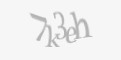 Защитный код
