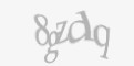 Защитный код
